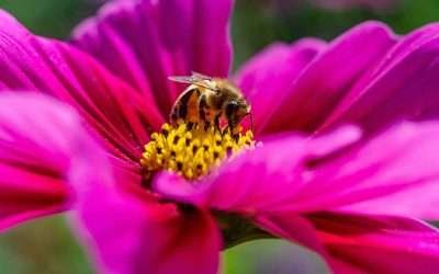 Inside the World of Celebrity Jewelry: What Stars Are Really Wearing