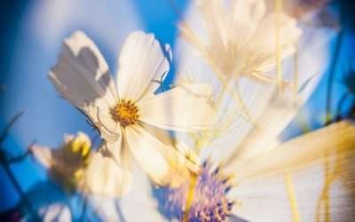 Trendspotting: The Latest Jewelry Styles