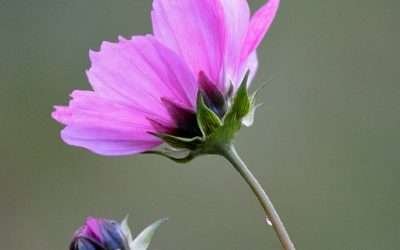 How to Rock Celebrity-Inspired Jewelry Trends in Your Everyday Life