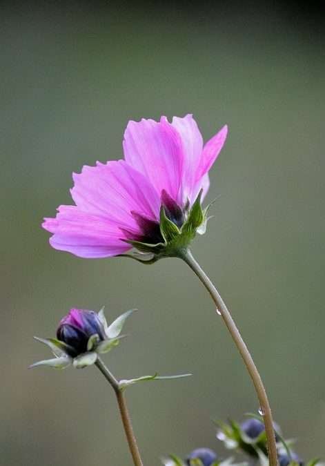 How to Rock Celebrity-Inspired Jewelry Trends in Your Everyday Life