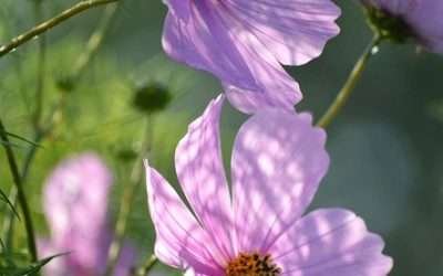 Iconic Celebrity Jewelry Moments We Can’t Forget