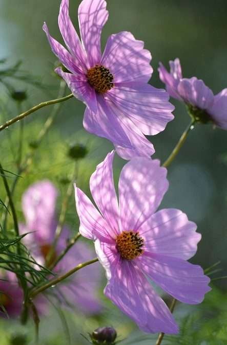 Iconic Celebrity Jewelry Moments We Can’t Forget