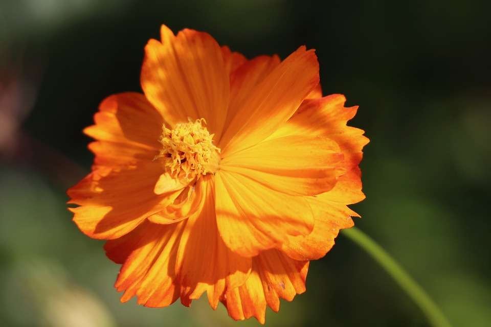 The Art of Layering: How to Create Stylish Stacked Jewelry Looks – Jewelry Tip Tuesday