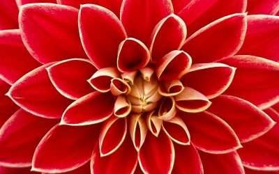 5 Essential Tips for Keeping Your Jewels Shining Bright