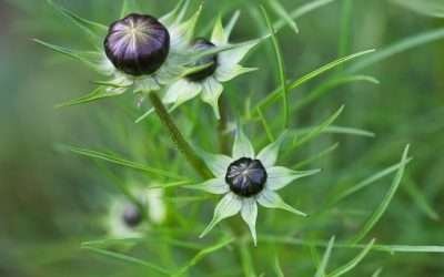 Timeless and Sophisticated: How to Style Jewelry with Your Black Dress